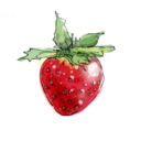 maririma-blog avatar