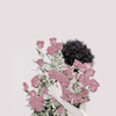 marisascoulter avatar