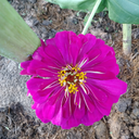 marissar210-blog avatar