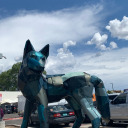 mark-the-shark avatar