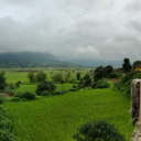 marketlearner36 avatar