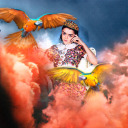 markleeinthetrack avatar