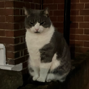 marklifemarklife avatar