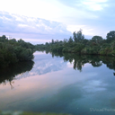 marlborored25s avatar