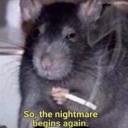 marlbororeds100s avatar