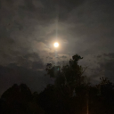 marley4441111 avatar