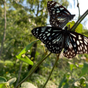 marleyandkink avatar