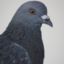 marleybullock avatar