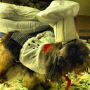 marlow-writer avatar