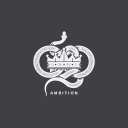 marmalade-yesterday avatar