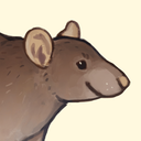 marmotdoodles avatar