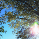 marrandmorrissey avatar