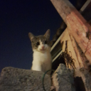 marriamarrisopa560 avatar