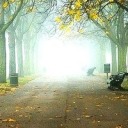 marrymyasiandaughter avatar