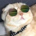 mars-tea-light avatar