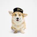 marshmallow-bandit avatar