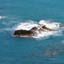 marshymindness avatar