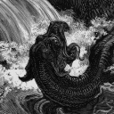 marti-lizzard avatar