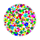 martinaminnuccidesign avatar