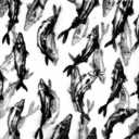 martiniandthebrownkiwi avatar