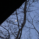 martinsteacup avatar