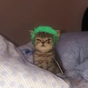 maruschka4444 avatar