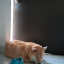 marutaro-blog avatar