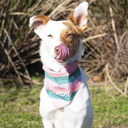 maruupdance-blog avatar