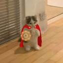 marvelfreakgirl avatar