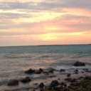 marvelgirl712-blog avatar