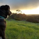 marvelling-at-marvel-blog avatar