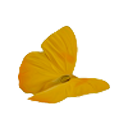 marvelmusingisms avatar