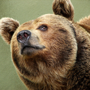 marvelousbearsofmoxleyselcouth avatar