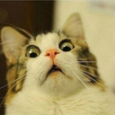 marvelouslyfailing avatar