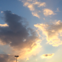 marvelousmellifluousvoice avatar