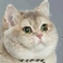 marvelousmrmothman avatar