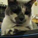 marvingay-blog-blog avatar