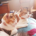 mary-and-annie avatar