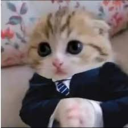 mary-del-ana-a98 avatar