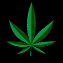 maryjanerider420-blog avatar