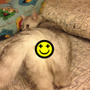 marylovekitty avatar