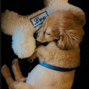 marymint-52hz avatar