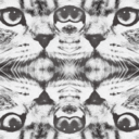 maryspsychedelicbreakfast avatar