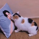 marywithnolamb avatar