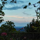 marzietta2001 avatar