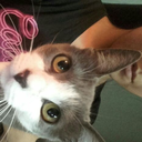 mas-musica-por-favor avatar