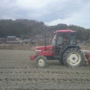 masa15dog-blog avatar