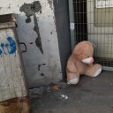 masallardankorkuyoruuz avatar