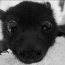 masc-of-center avatar