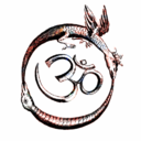 mascodagama-blog avatar